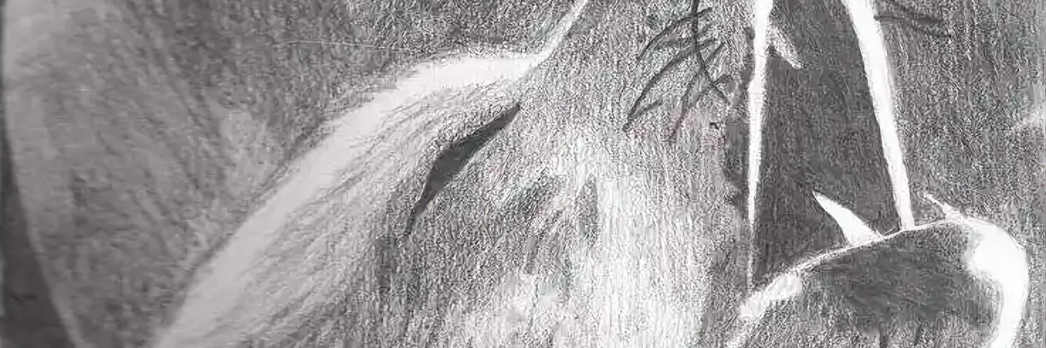 Redwolfe's profile banner image