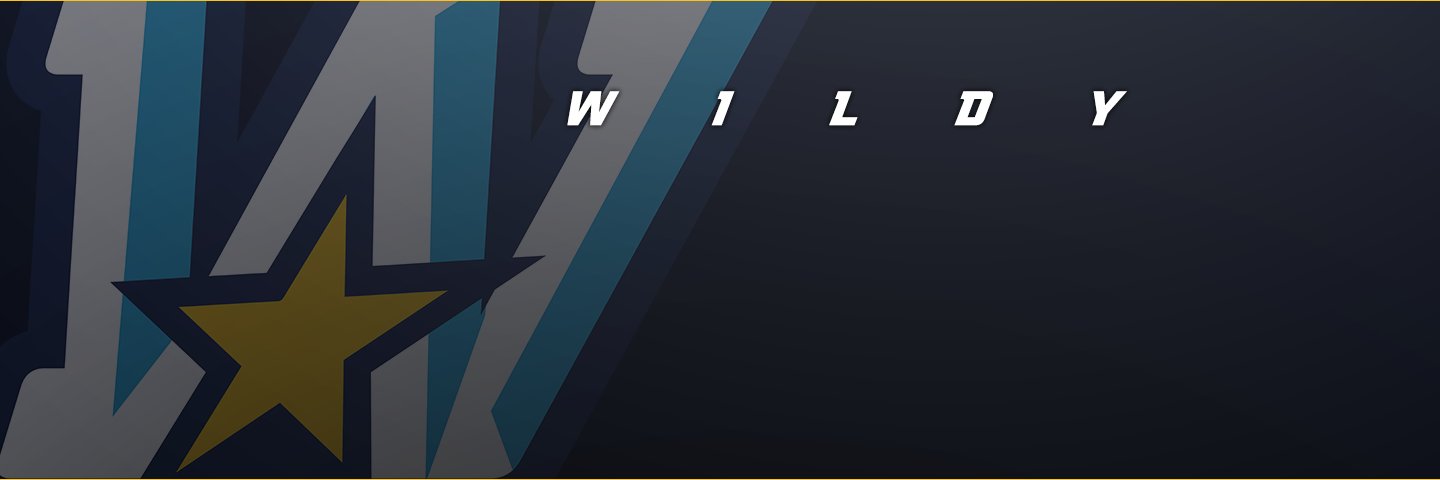 OmgImWild's profile banner image