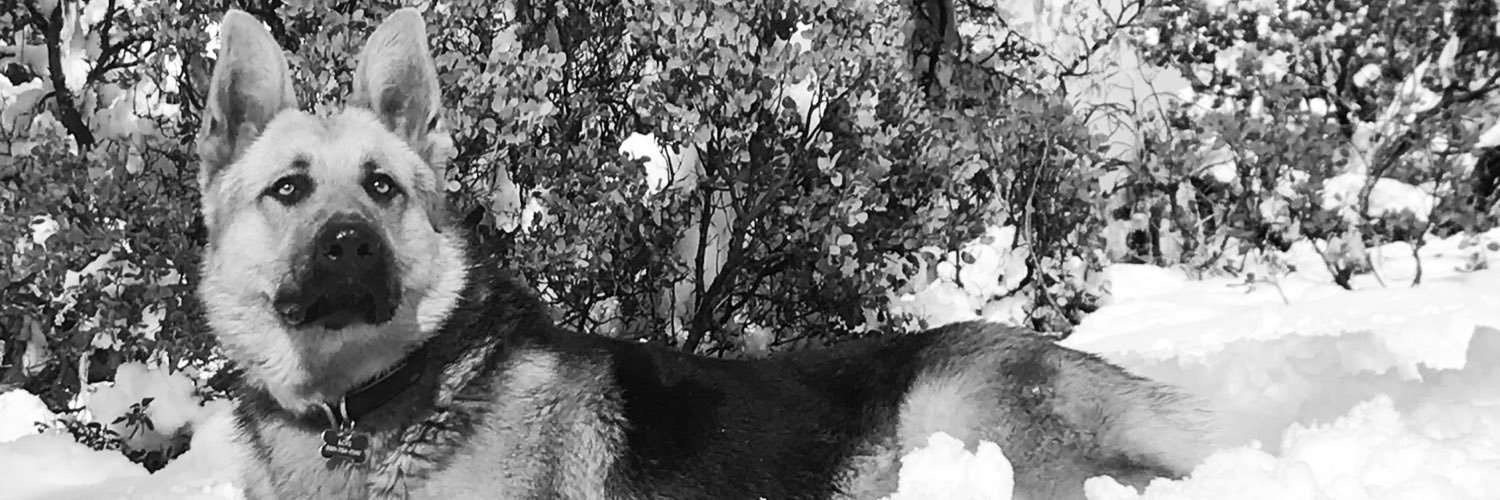 SlimReaper_1's profile banner image