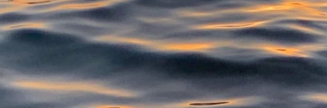 luciapetersenv's profile banner image