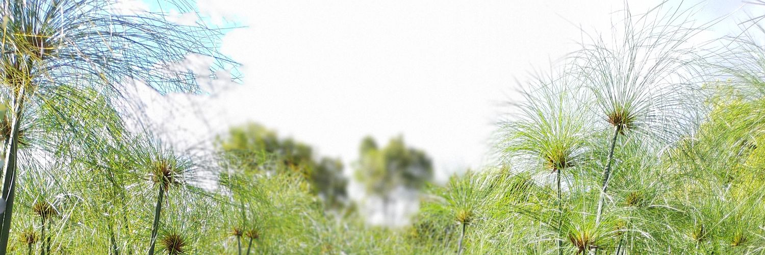 yue2772's profile banner image
