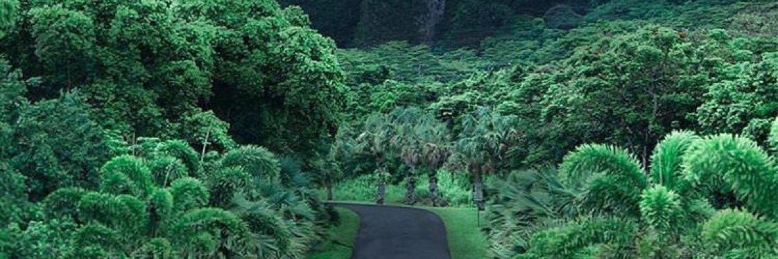 Caleb Great kelvin banner