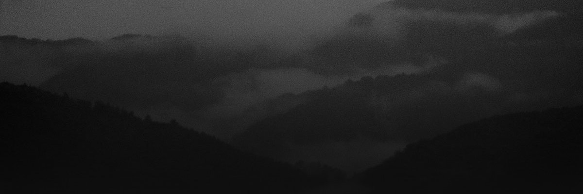 vetoshield's profile banner image