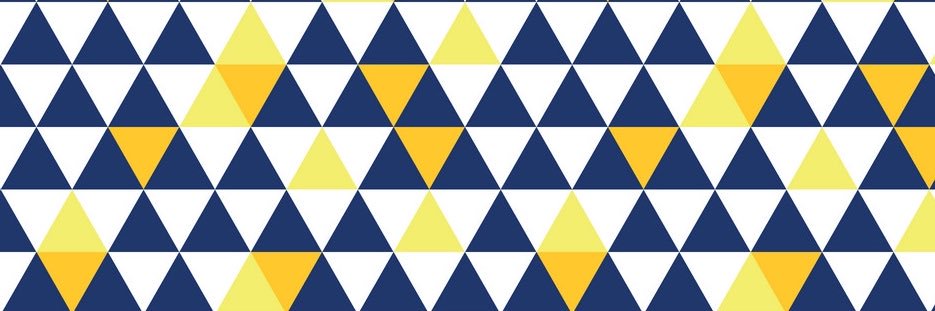 PLHS Student Council banner