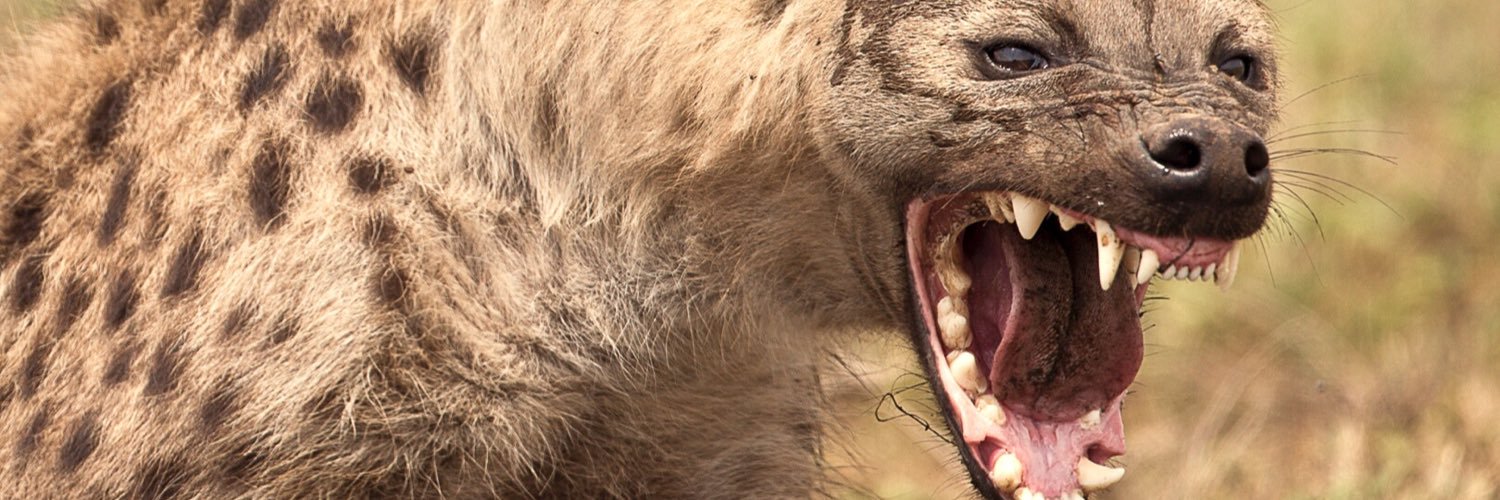 joshua jackson banner