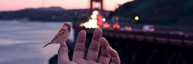 GeraldinHeredia's profile banner image