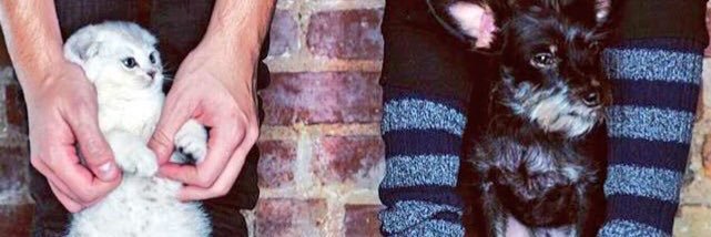 EllisonHarkness's profile banner image