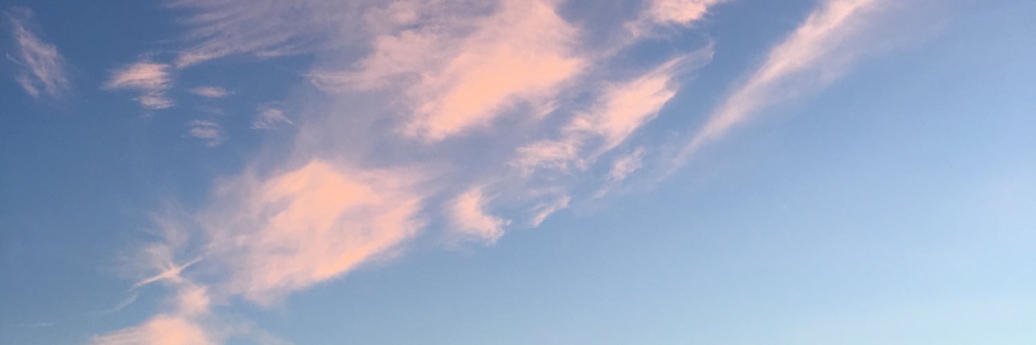 lesleyarri's profile banner image