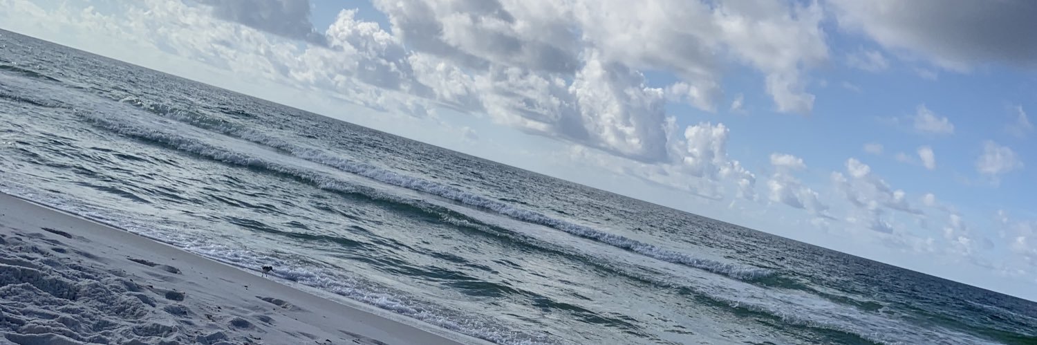 celina_mh's profile banner image