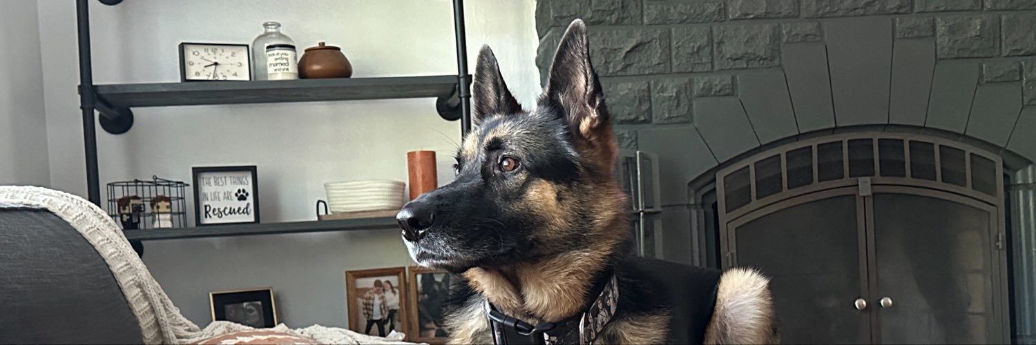 directorbarnes's profile banner image
