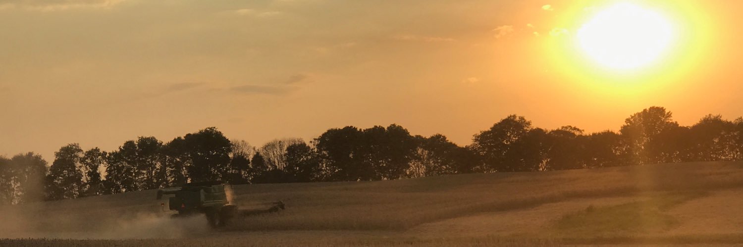 BradyNeed's profile banner image