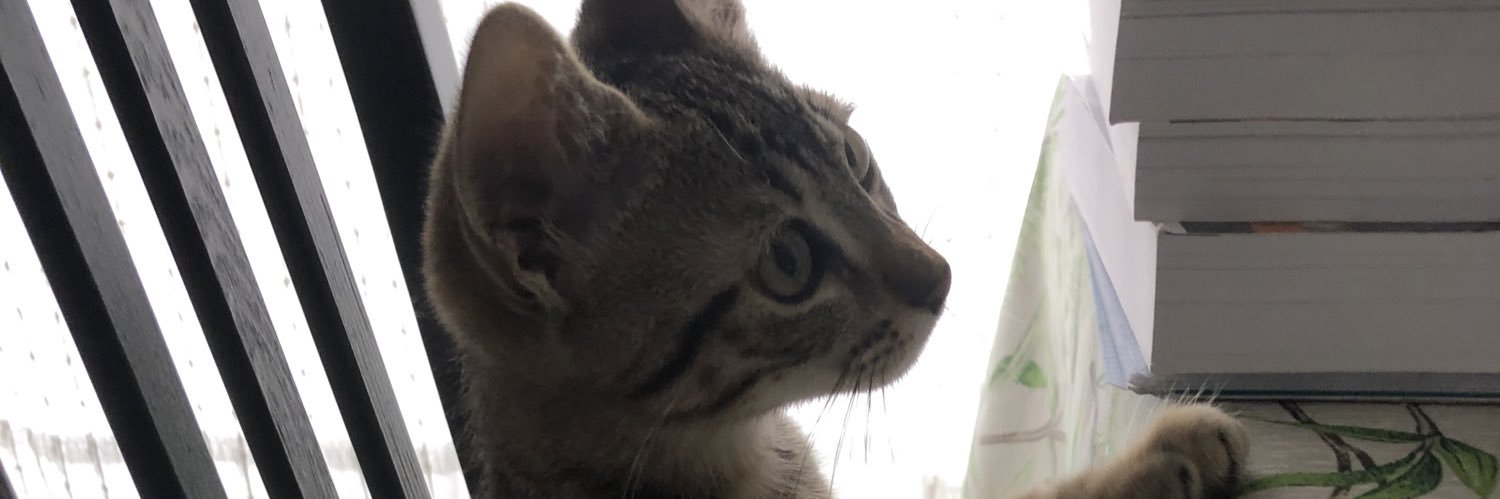 KiryKrispi's profile banner image