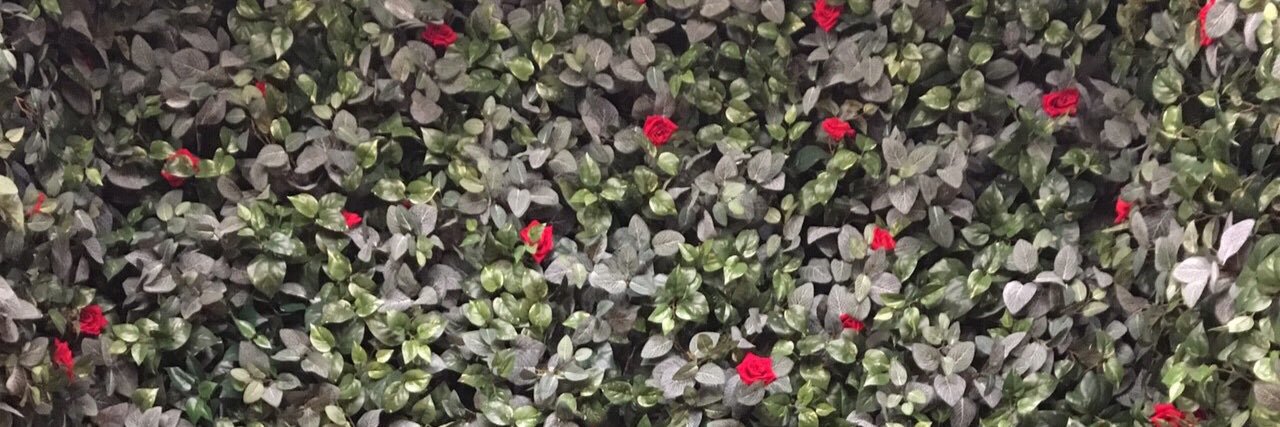 ひとみ banner