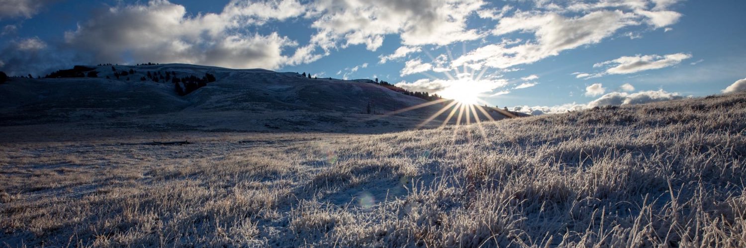 Maura Chaney Kelley banner