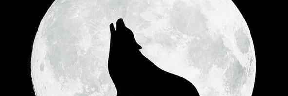 manuel_lls's profile banner image