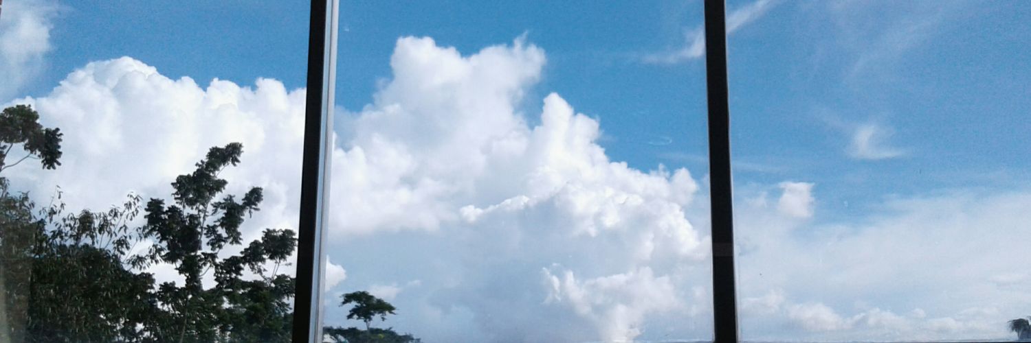 TanzinaU's profile banner image