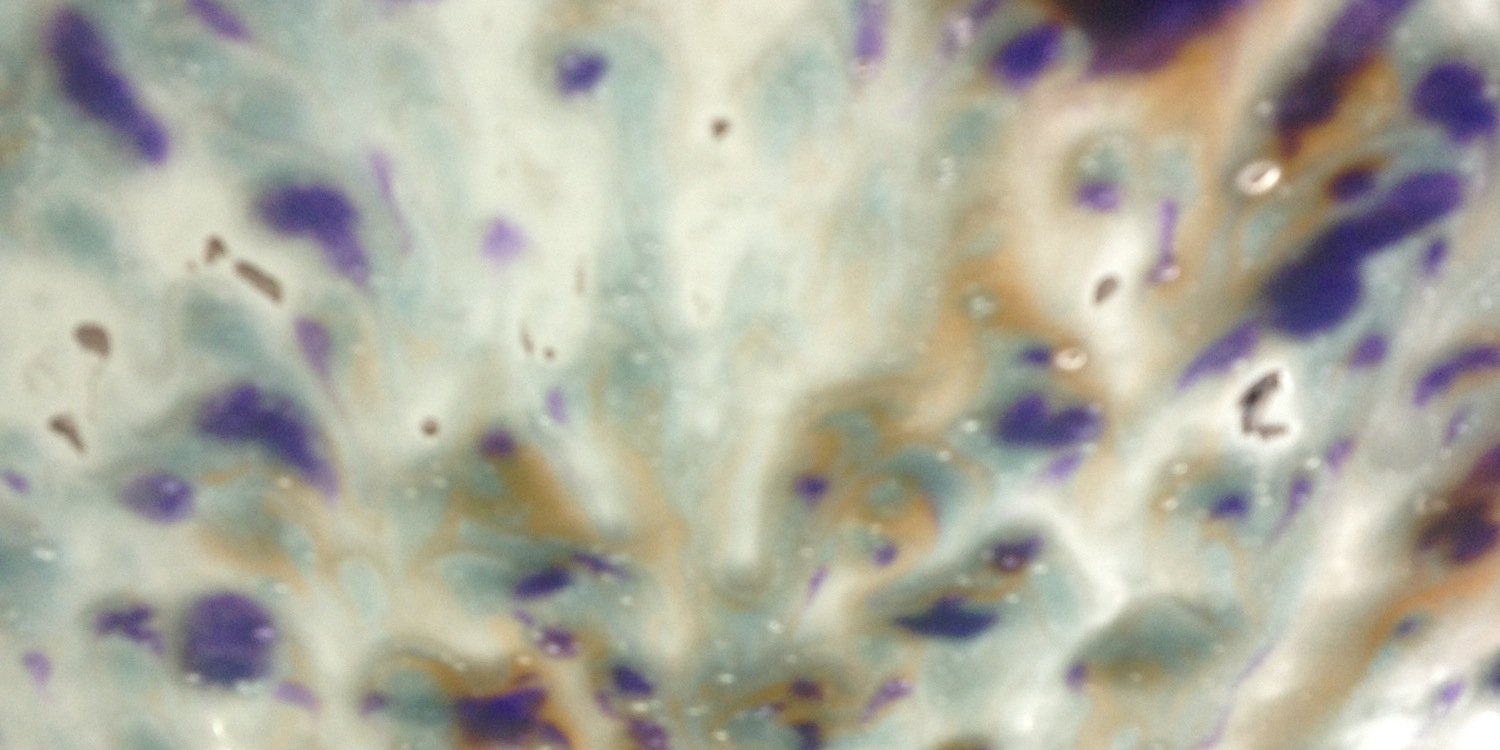Serena Pryne banner
