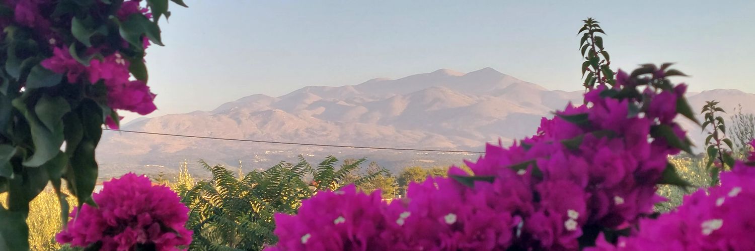 PoppyKouratora's profile banner image