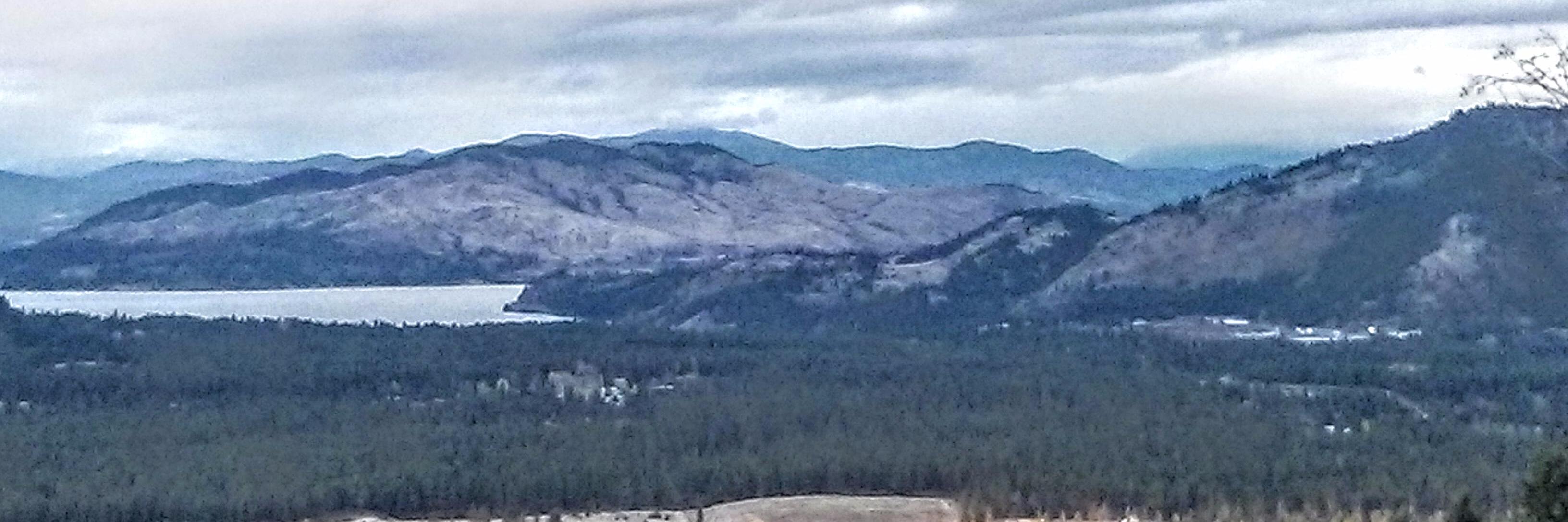 KPH & The Canary Collective banner