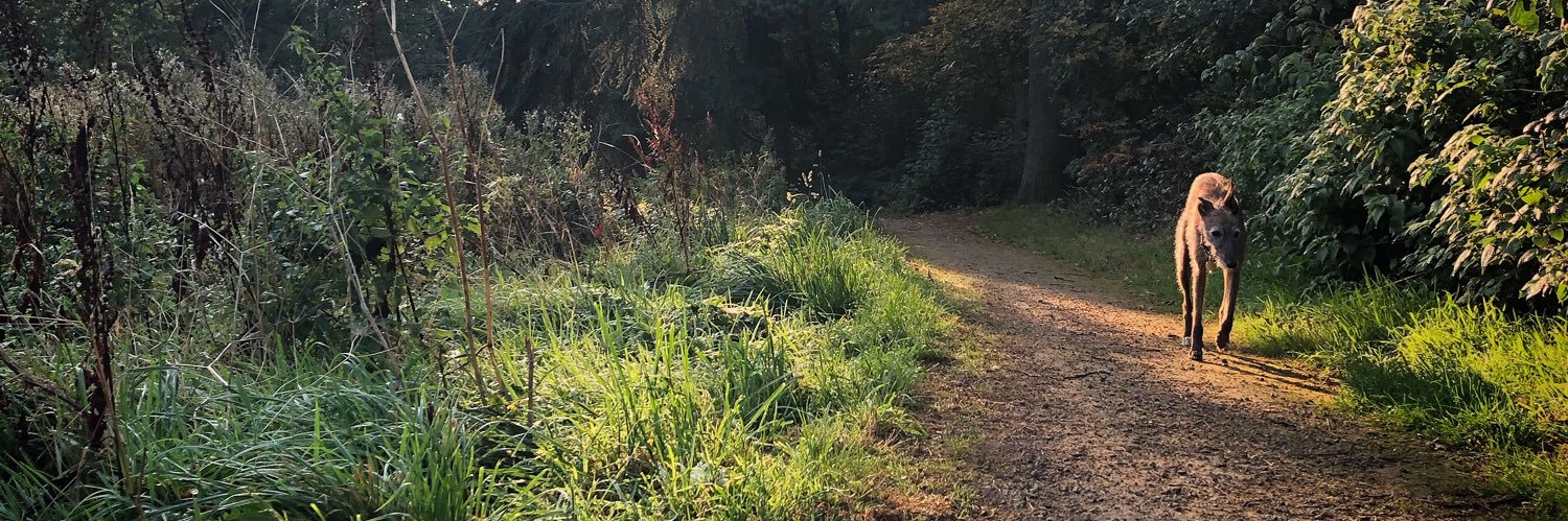Em_Crofts's profile banner image