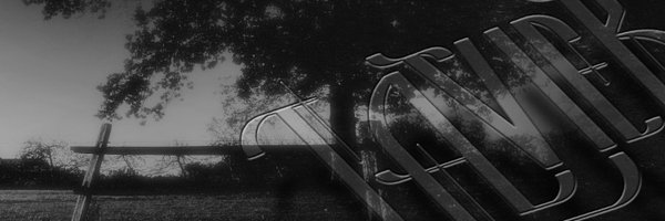 Lavier • WORLDS COLLIDE out now Profile Banner