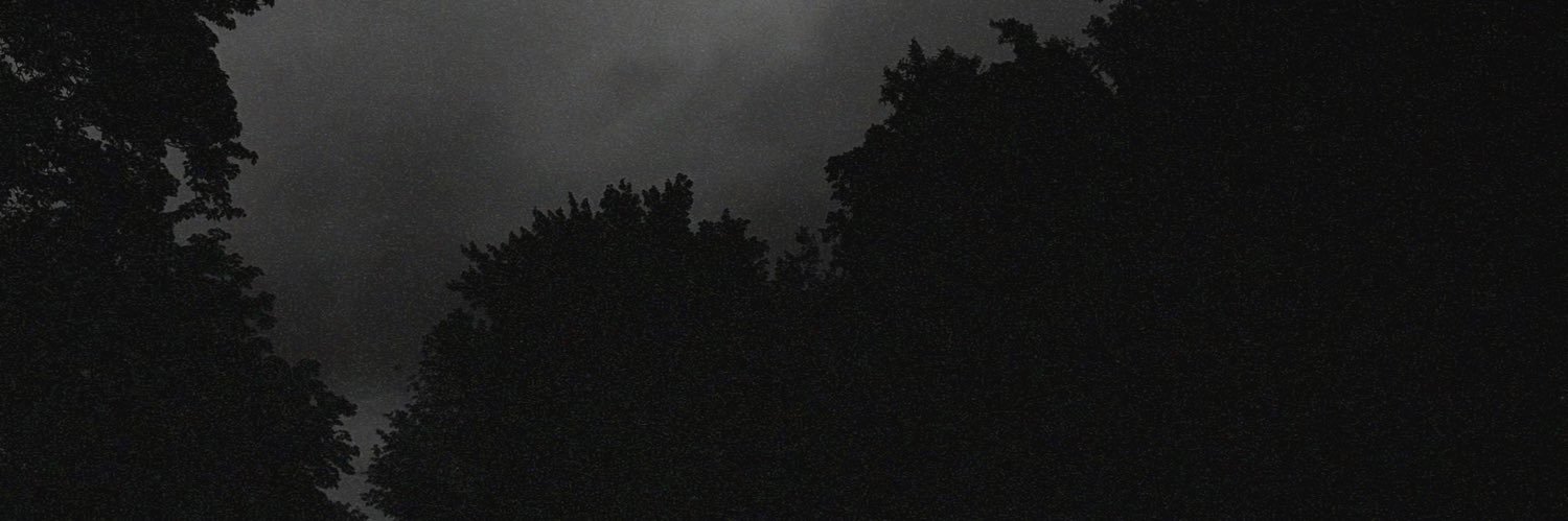 laviermusic's profile banner image