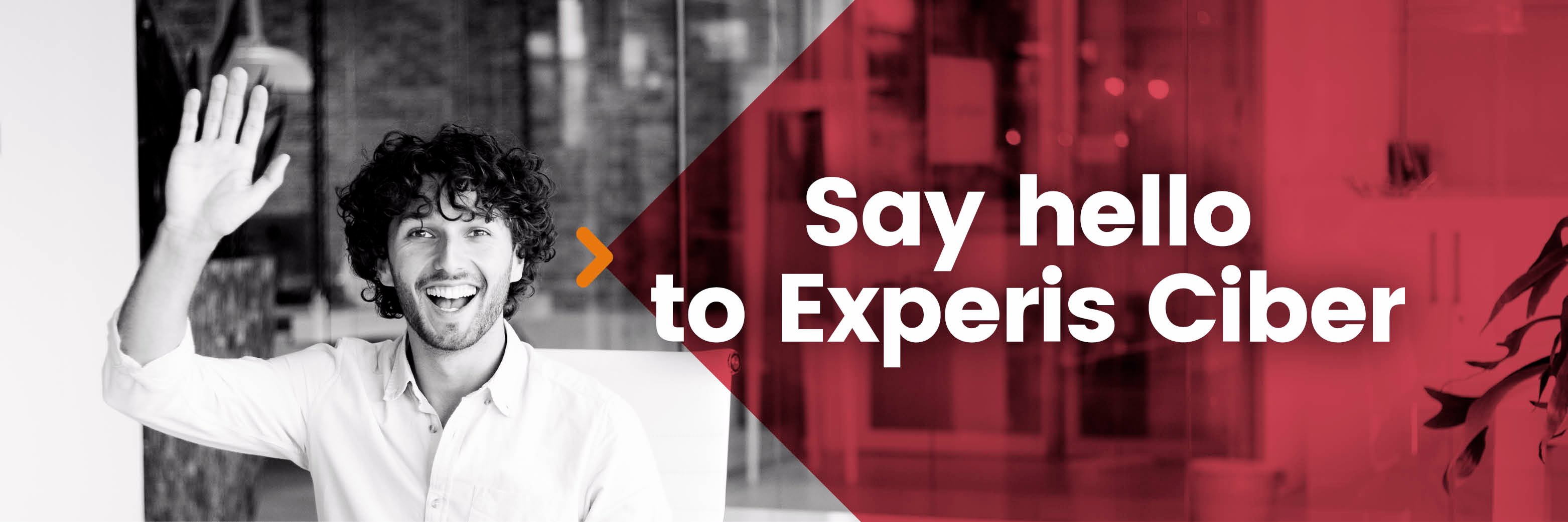 Experis Ciber banner
