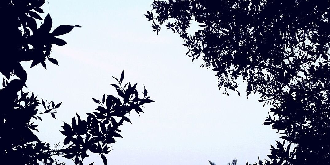 MahafK's profile banner image