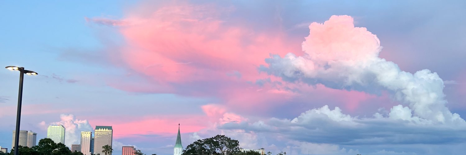Cassie Meschke banner