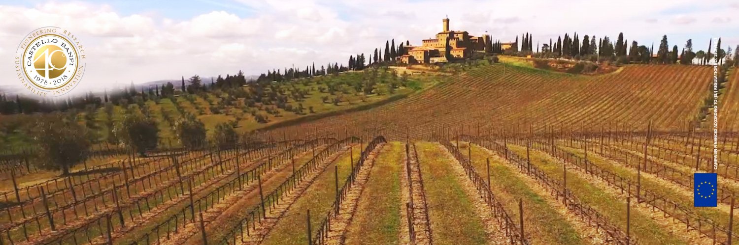 Castello Banfi USA banner