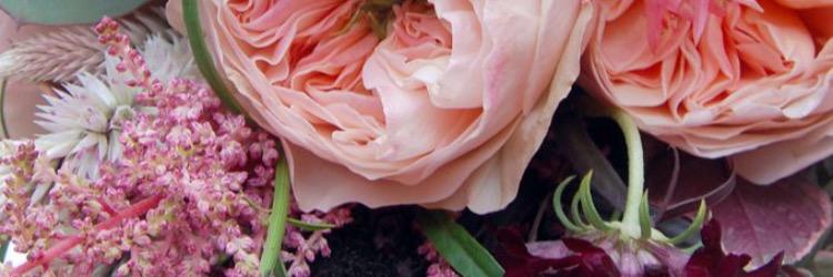 Soumaya_a's profile banner image