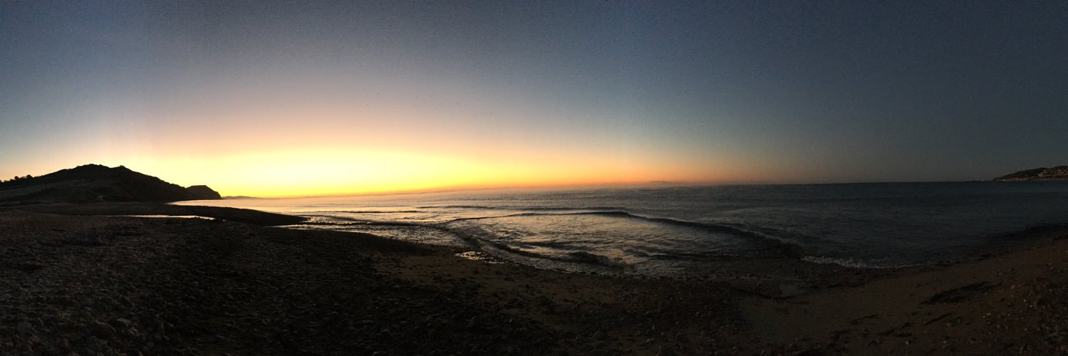 Cate Field 💚🤍💜 banner