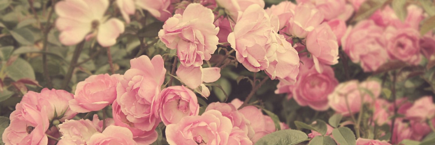 pupillena's profile banner image