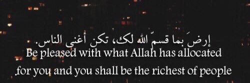 majed_k9's profile banner image
