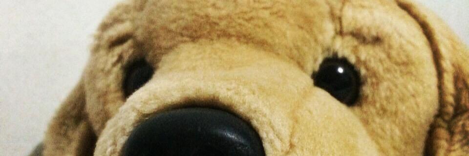 noahangela's profile banner image