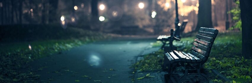 Dinuka_Fernando's profile banner image