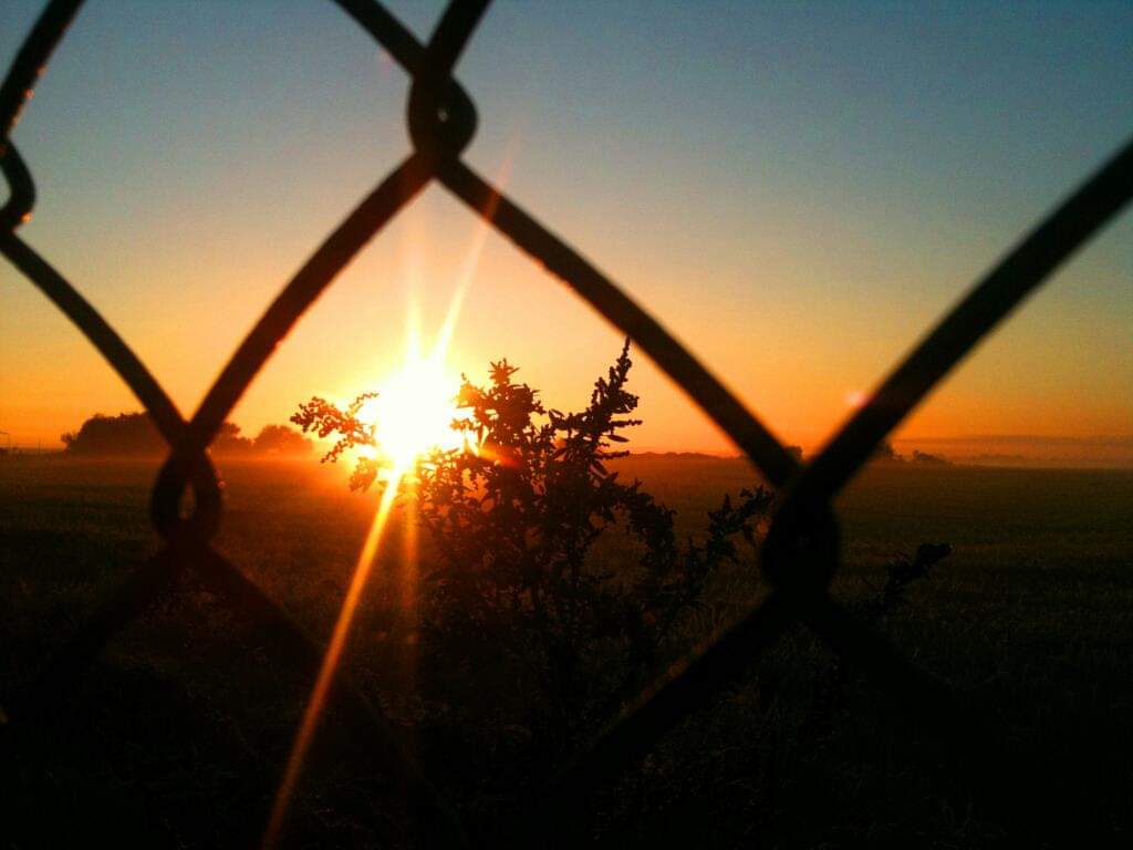 Crystal Forrester banner