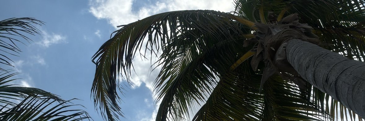 angie banner