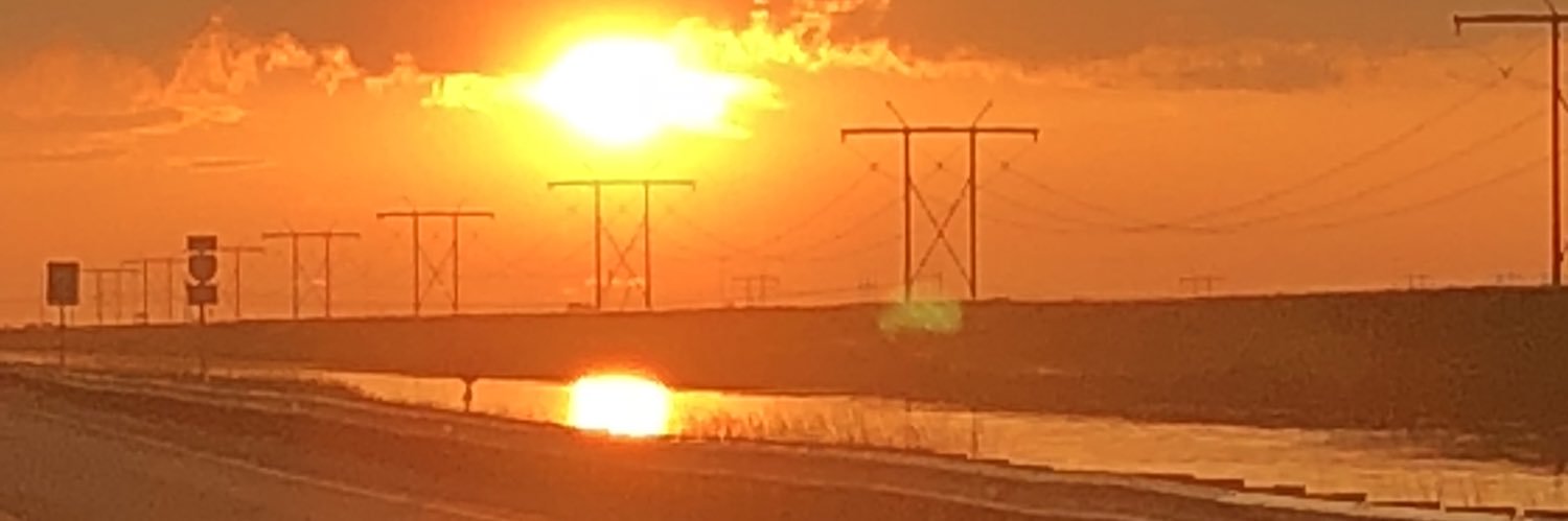 Don Johnson banner