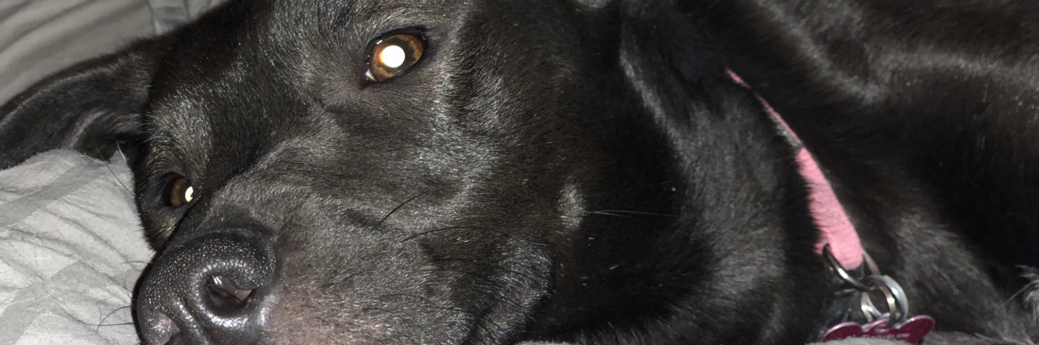 MapleCara's profile banner image