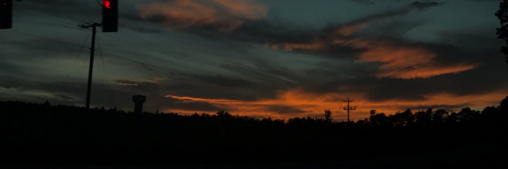 Nancedapants's profile banner image