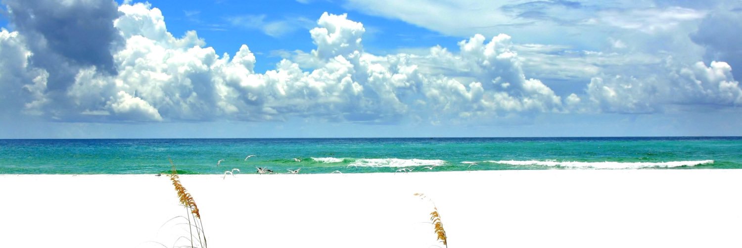 HappyWookiee's profile banner image