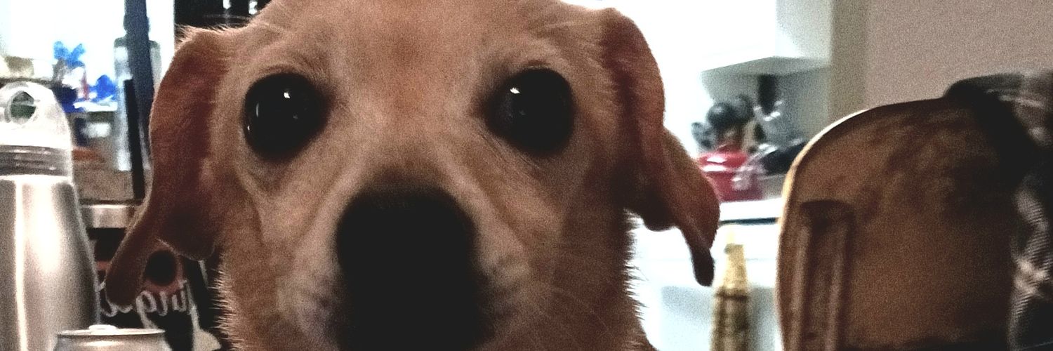 LCLessonPlans's profile banner image
