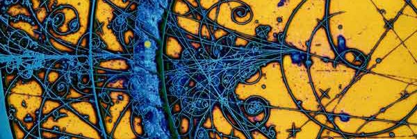 Tijana Prodanovic banner