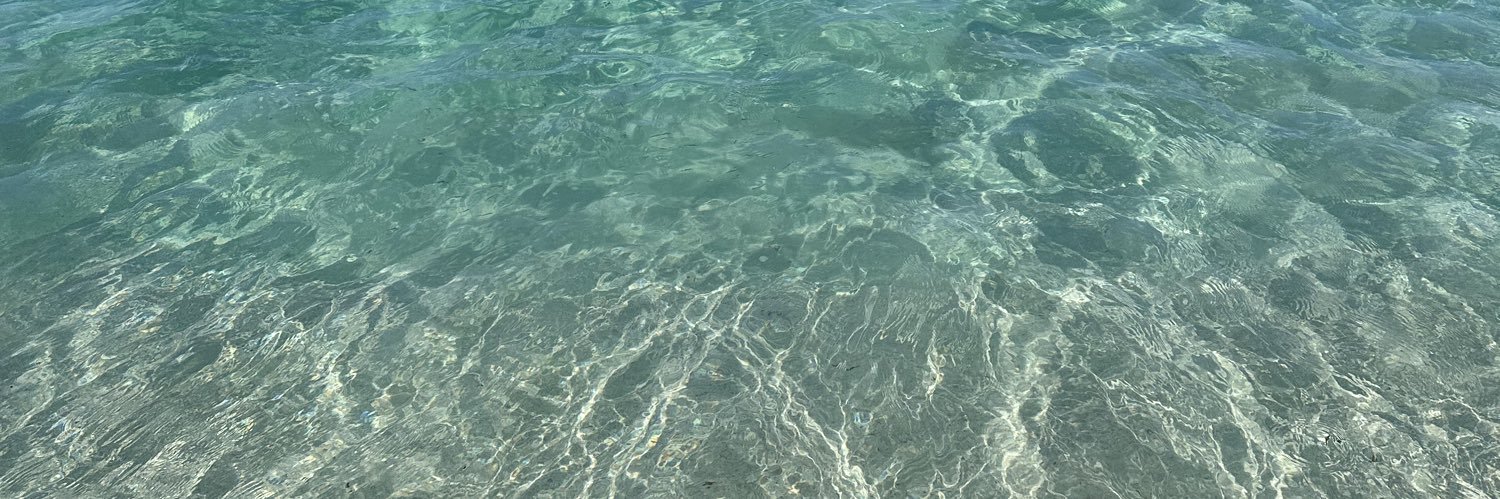 LSummerP18's profile banner image