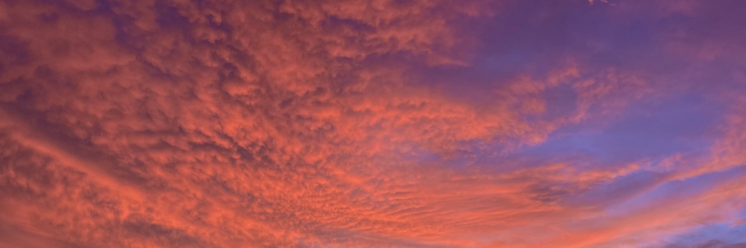 stephhwolf's profile banner image