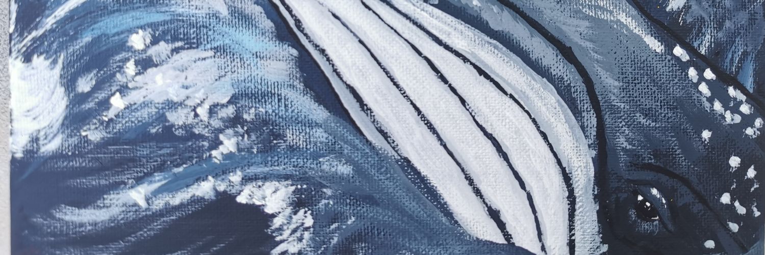 Nicole Crooks banner