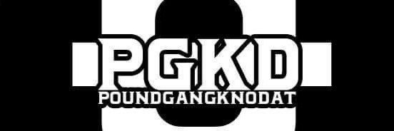 PGKDRecords's profile banner image