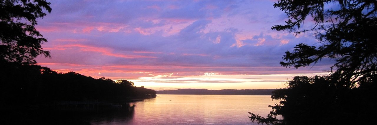 Bruce S. Lieberman banner