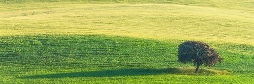 QRCS_Analytics's profile banner image